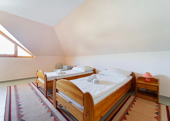 Apartment Varga *